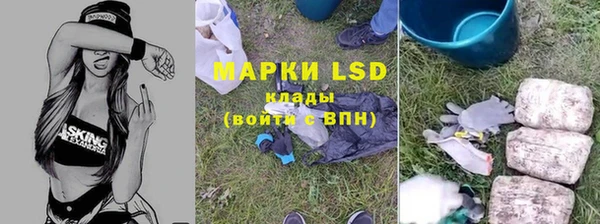 спиды Аркадак