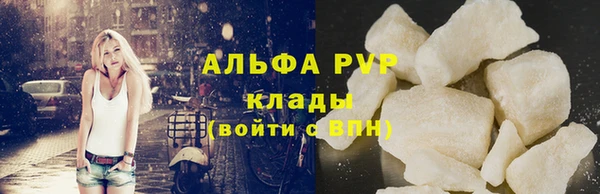 спиды Аркадак