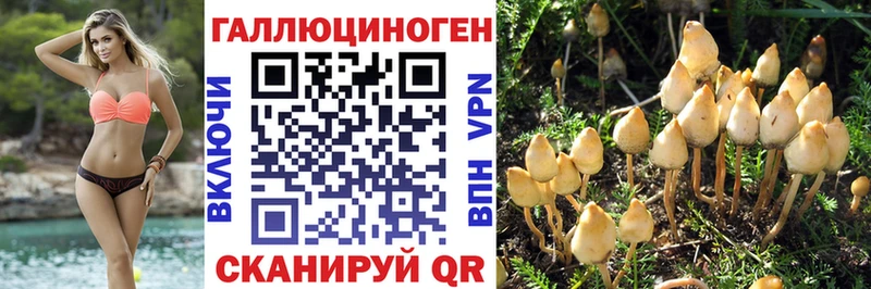 что такое   Талдом  Галлюциногенные грибы GOLDEN TEACHER 